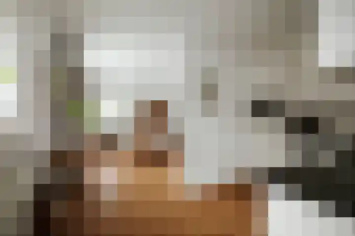 Joke Smitlaan 13 Olst thumbnail 12