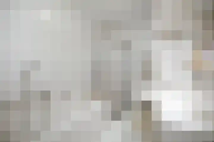 Joke Smitlaan 13 Olst thumbnail 15