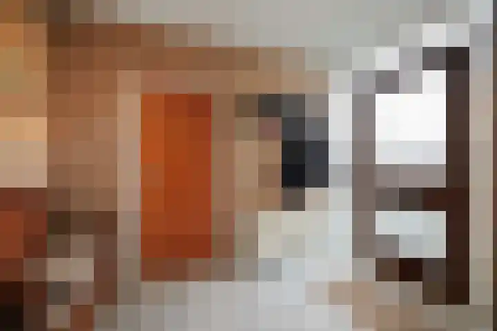 Joke Smitlaan 13 Olst thumbnail 16