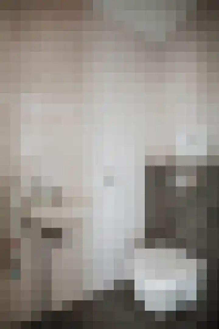 Joke Smitlaan 13 Olst thumbnail 18