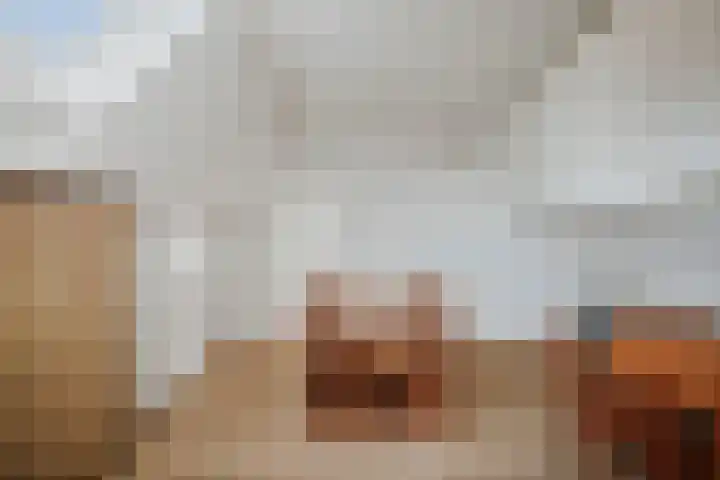 Joke Smitlaan 13 Olst thumbnail 23