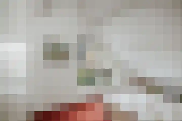 Joke Smitlaan 13 Olst thumbnail 25