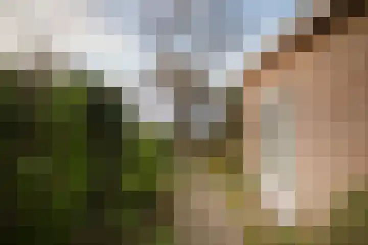 Joke Smitlaan 13 Olst thumbnail 29