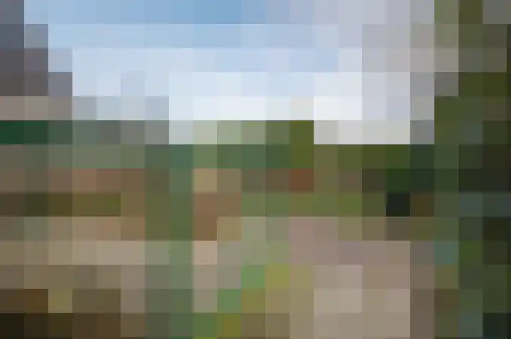 Joke Smitlaan 13 Olst thumbnail 30
