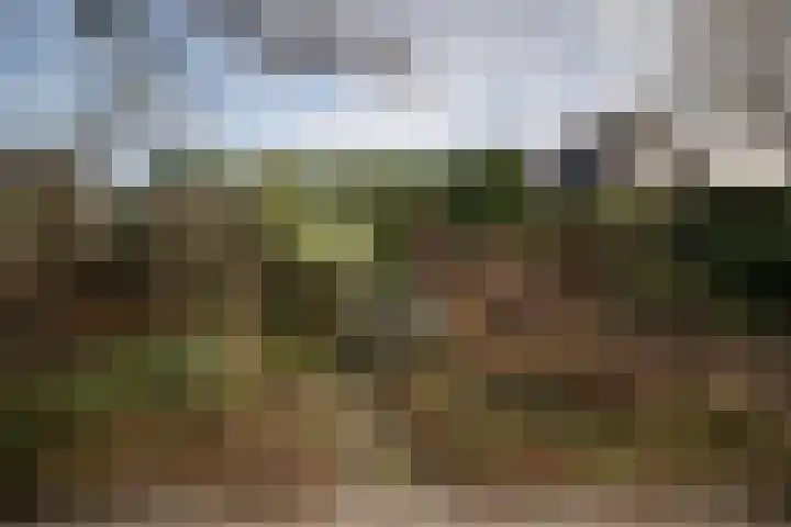 Joke Smitlaan 13 Olst thumbnail 33