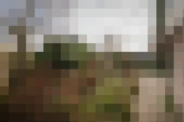 Joke Smitlaan 13 Olst thumbnail 34