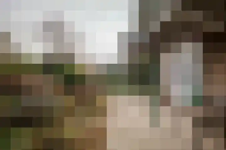 Joke Smitlaan 13 Olst thumbnail 35