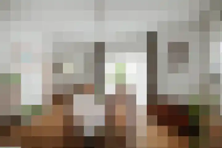 Joke Smitlaan 13 Olst thumbnail 9