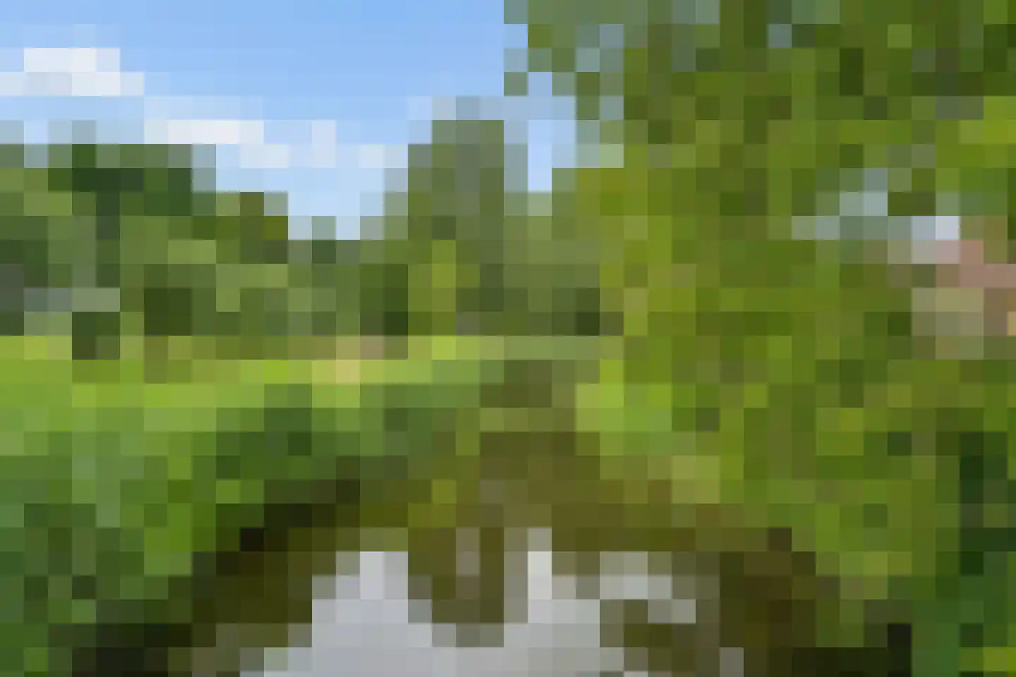 Joke Smitlaan 19 Vianen thumbnail 53
