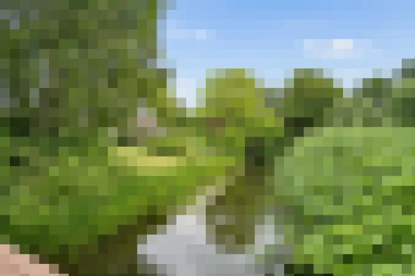 Joke Smitlaan 19 Vianen thumbnail 54