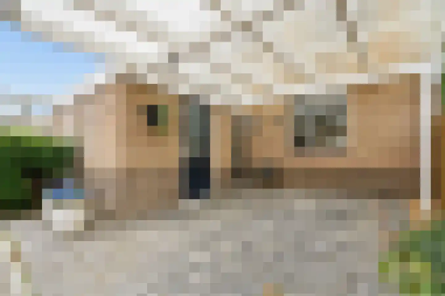 Joke Smitlaan 19 Vianen thumbnail 7