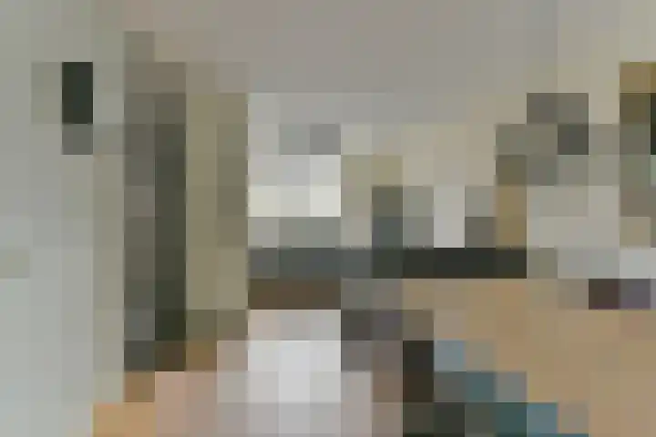 Joke Smitlaan 51 Vianen thumbnail 11