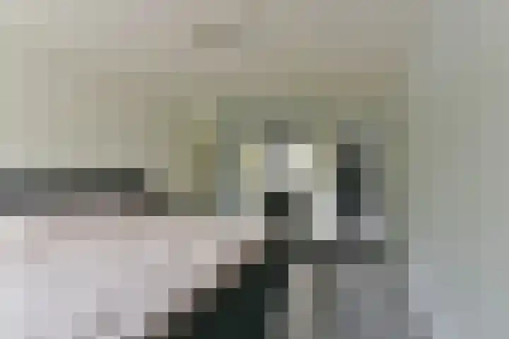 Joke Smitlaan 51 Vianen thumbnail 23