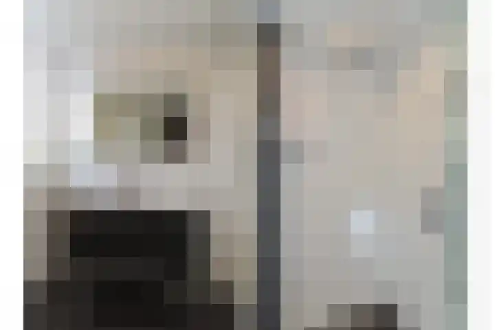 Joke Smitlaan 51 Vianen thumbnail 28