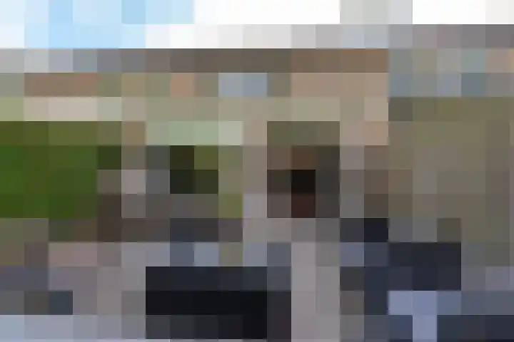 Joke Smitlaan 51 Vianen thumbnail 34
