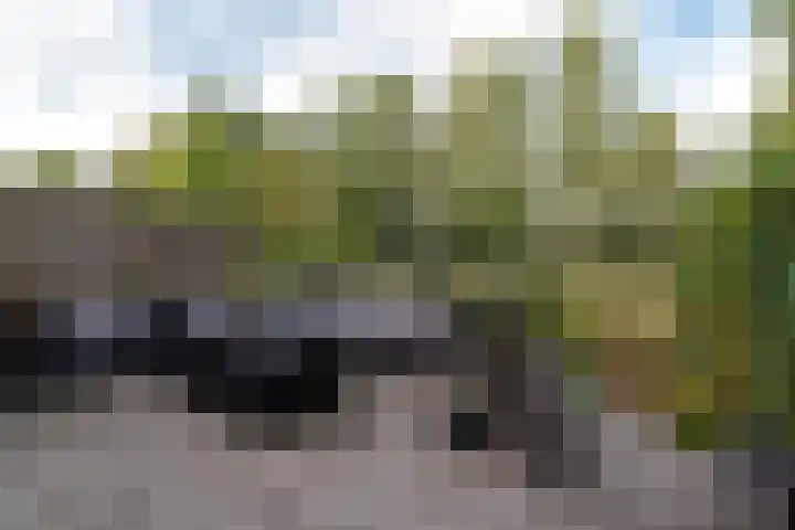 Joke Smitlaan 51 Vianen thumbnail 35
