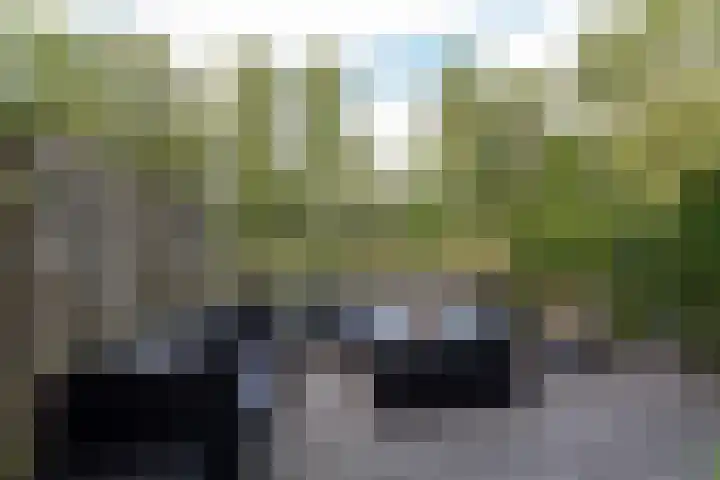 Joke Smitlaan 51 Vianen thumbnail 36