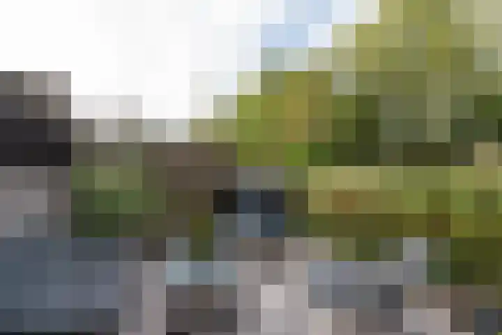 Joke Smitlaan 51 Vianen thumbnail 37