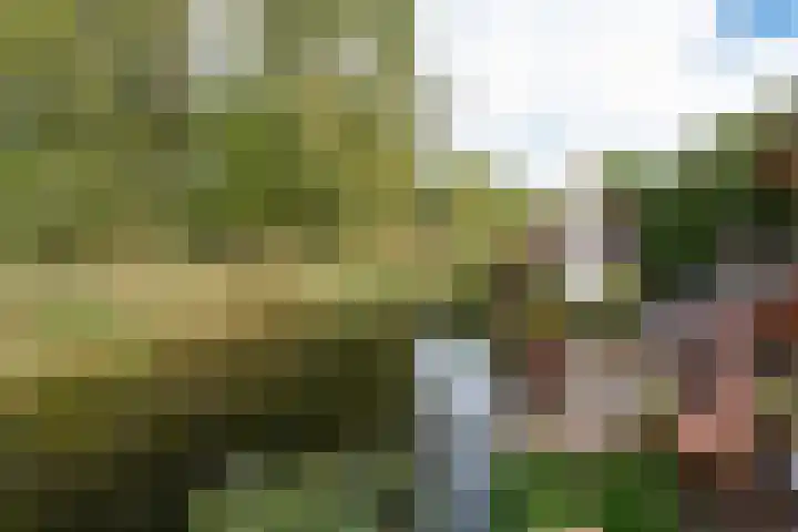 Joke Smitlaan 51 Vianen thumbnail 38