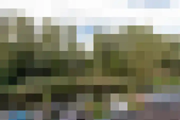 Joke Smitlaan 51 Vianen thumbnail 39