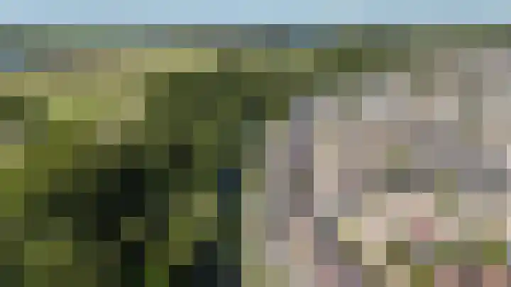 Joke Smitlaan 51 Vianen thumbnail 43