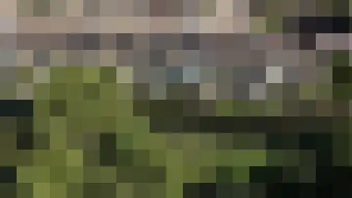 Joke Smitlaan 51 Vianen thumbnail 45