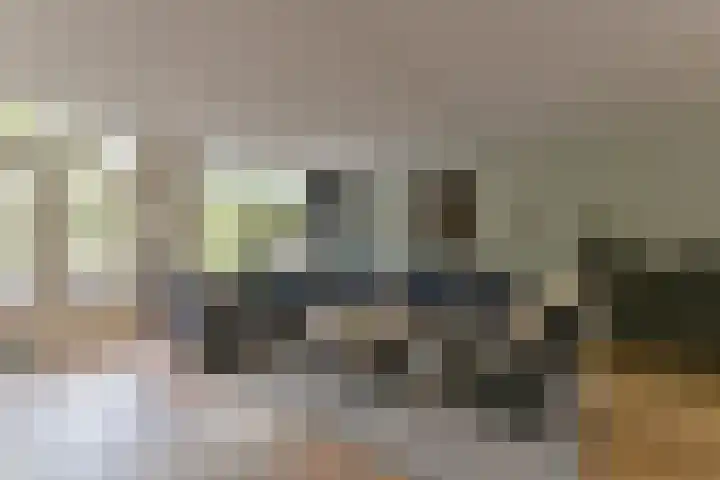 Joke Smitlaan 51 Vianen thumbnail 8