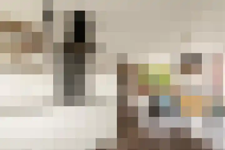 Joke Smitlaan 7 Heemstede thumbnail 16