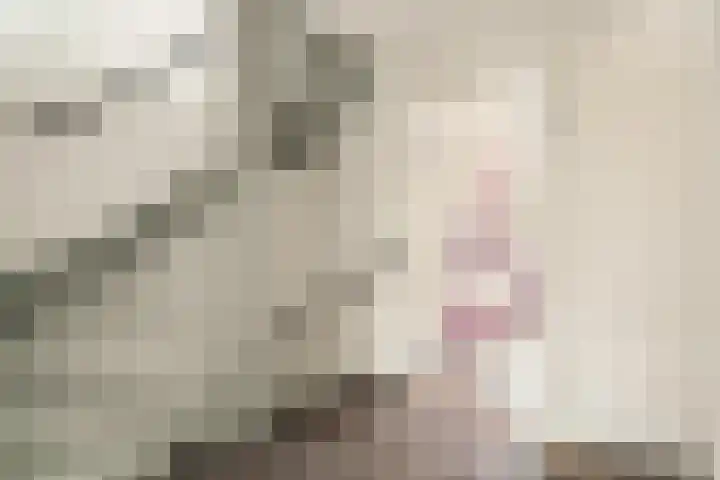 Joke Smitlaan 7 Heemstede thumbnail 19