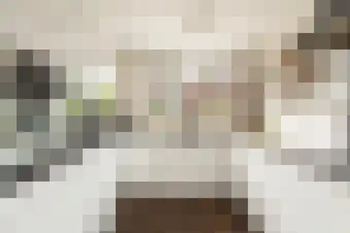 Joke Smitlaan 7 Heemstede thumbnail 4
