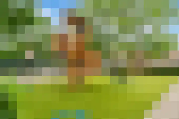 Joke Smitlaan 7 Heemstede thumbnail 42