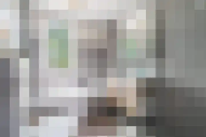 Joke Smitlaan 7 Heemstede thumbnail 5