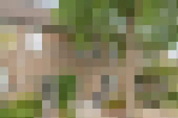 Joke Smitlaan 7 Heemstede thumbnail 7