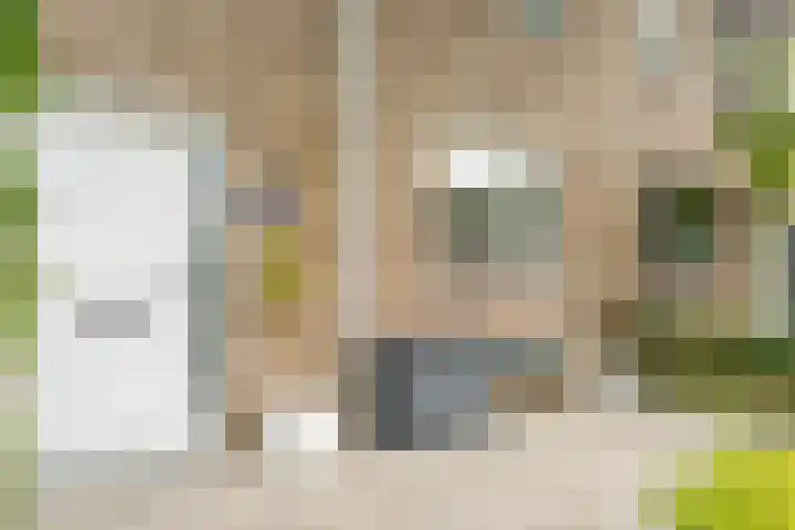 Joke Smitlaan 7 Heemstede thumbnail 8