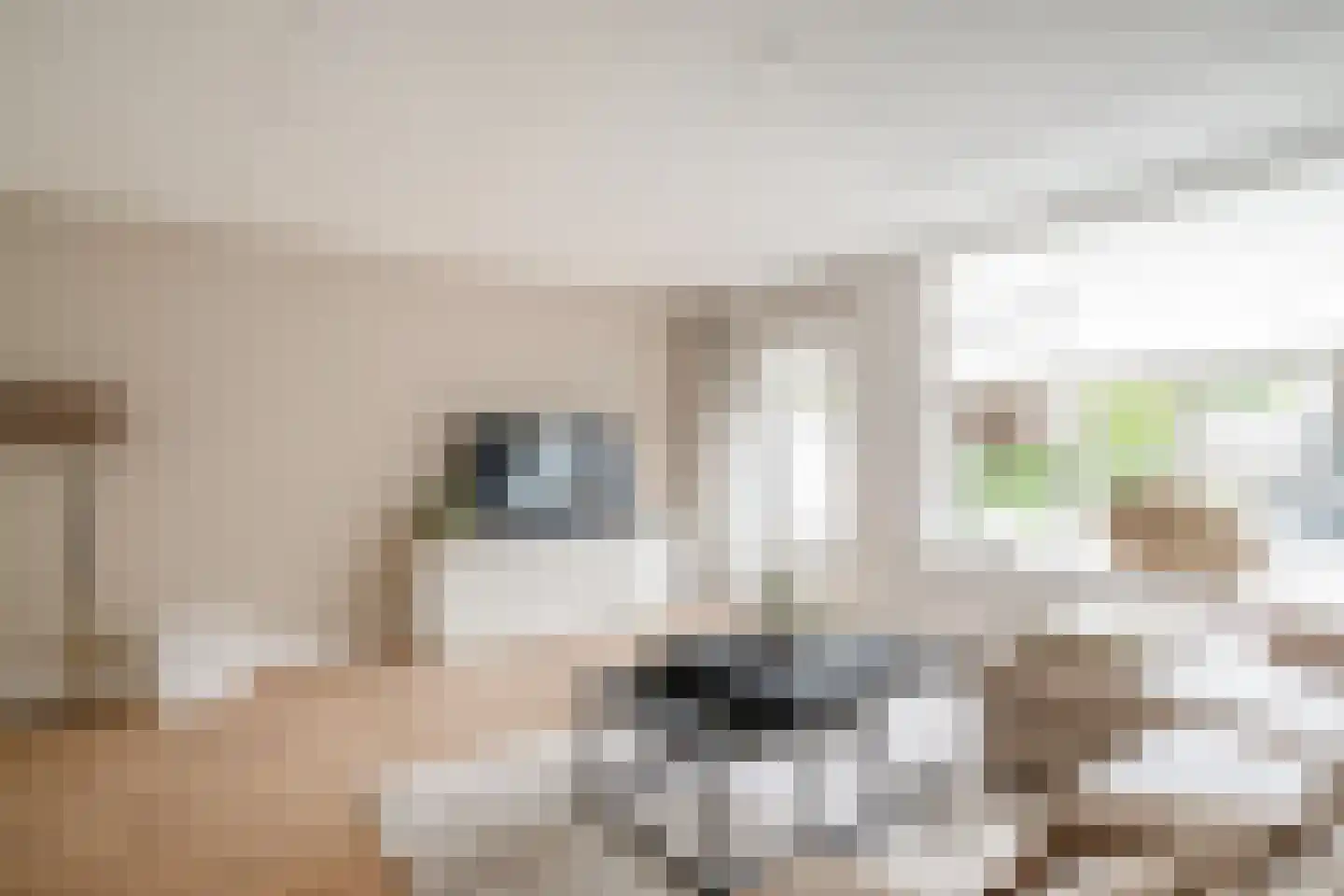 Joke Smitlanden 100 Enschede thumbnail 12