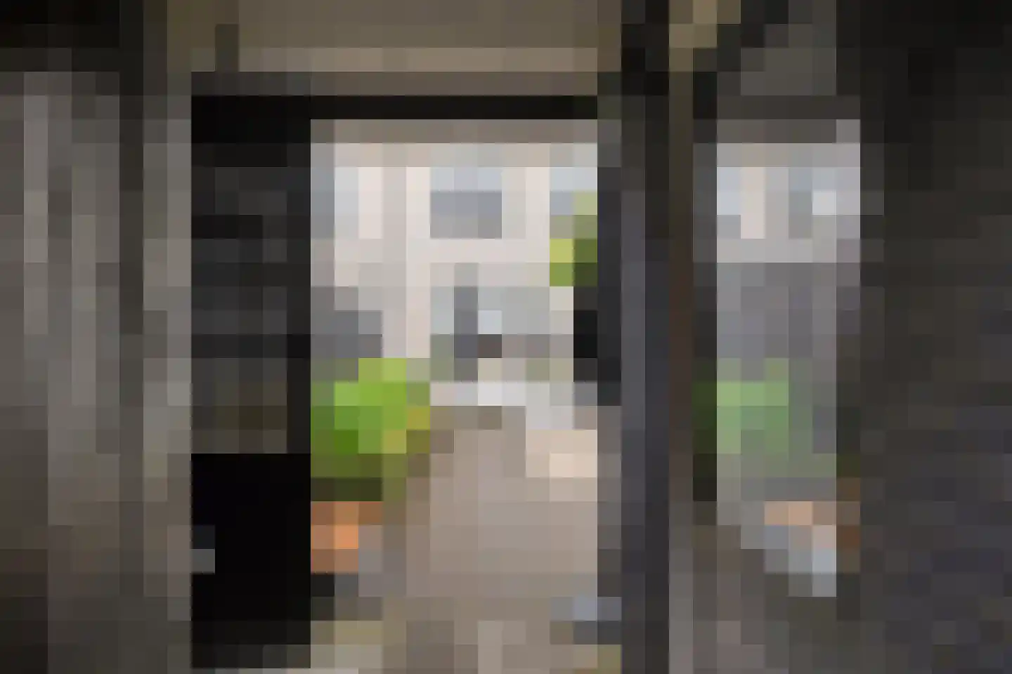 Joke Smitlanden 100 Enschede thumbnail 20