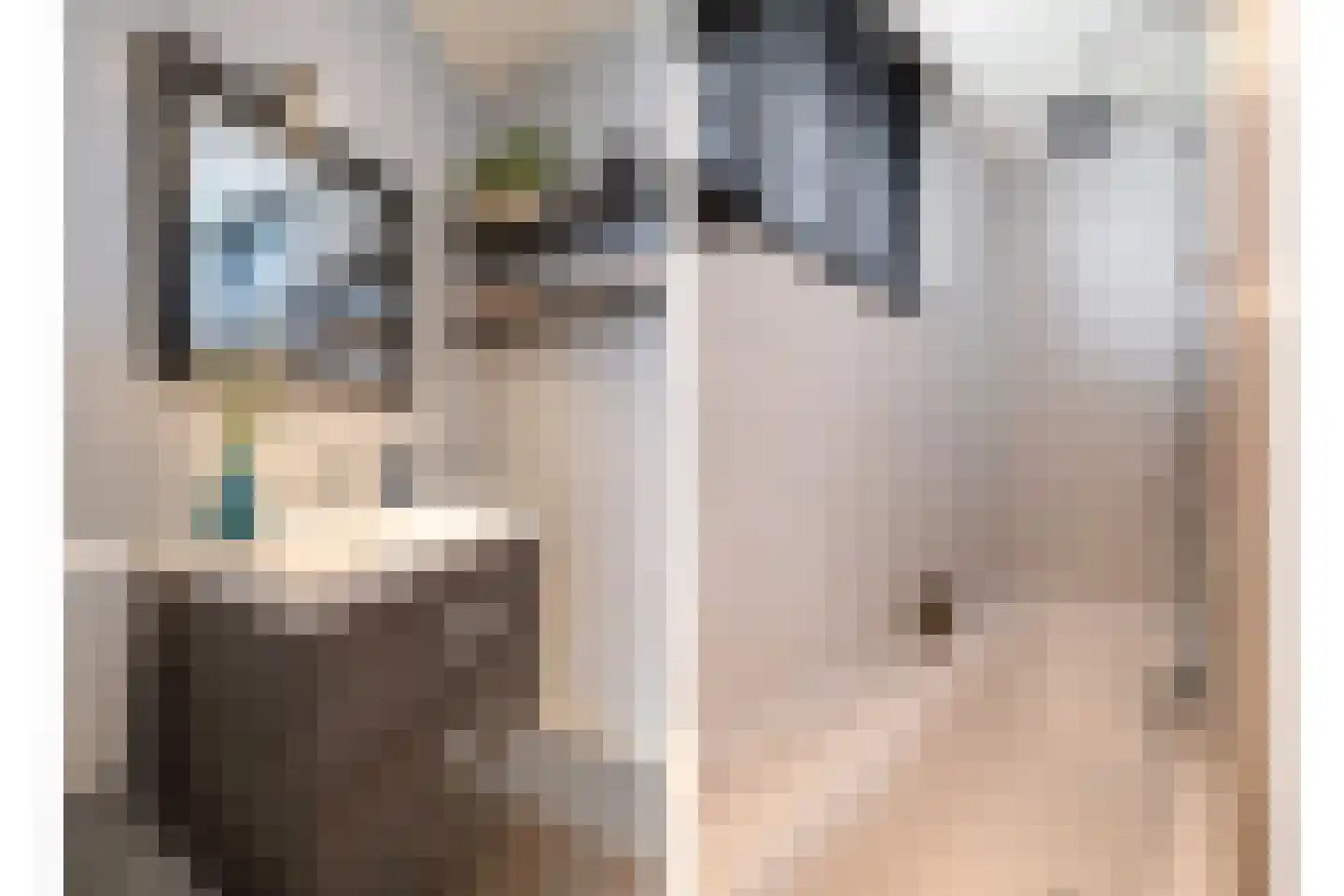 Joke Smitlanden 100 Enschede thumbnail 25