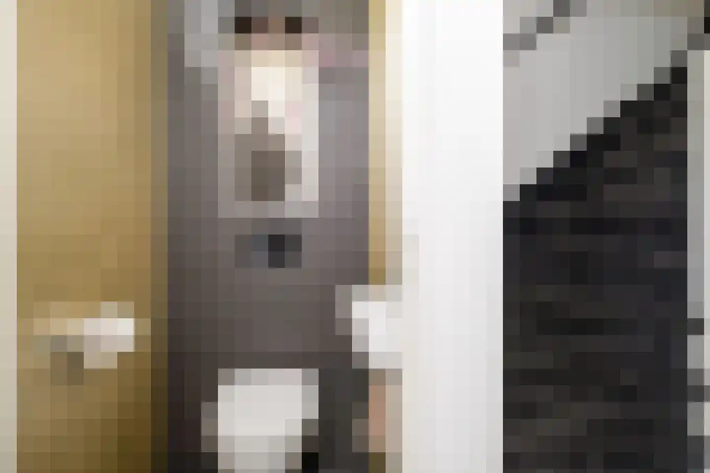 Joke Smitlanden 100 Enschede thumbnail 9