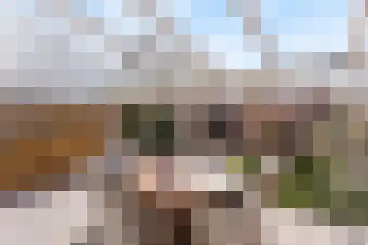 Joke Smitlanden 114 Enschede thumbnail 20
