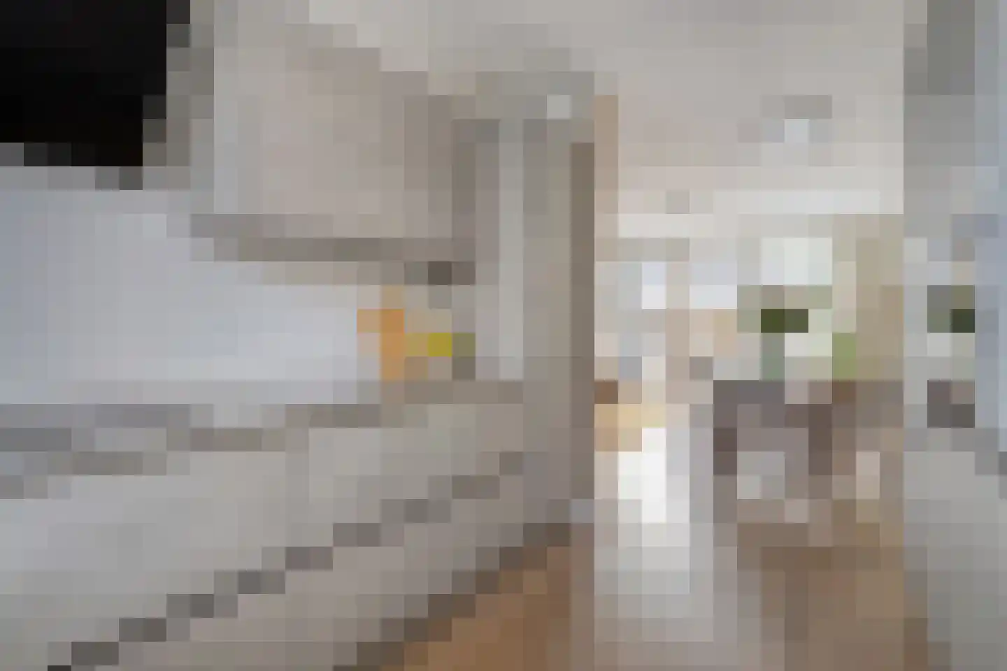 Joke Smitlanden 118 Enschede thumbnail 18