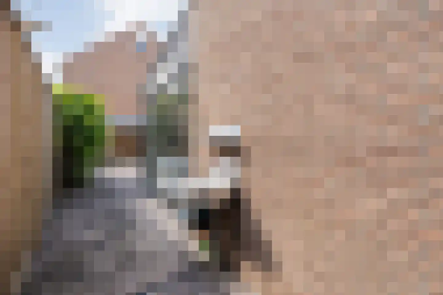 Joke Smitlanden 118 Enschede thumbnail 45