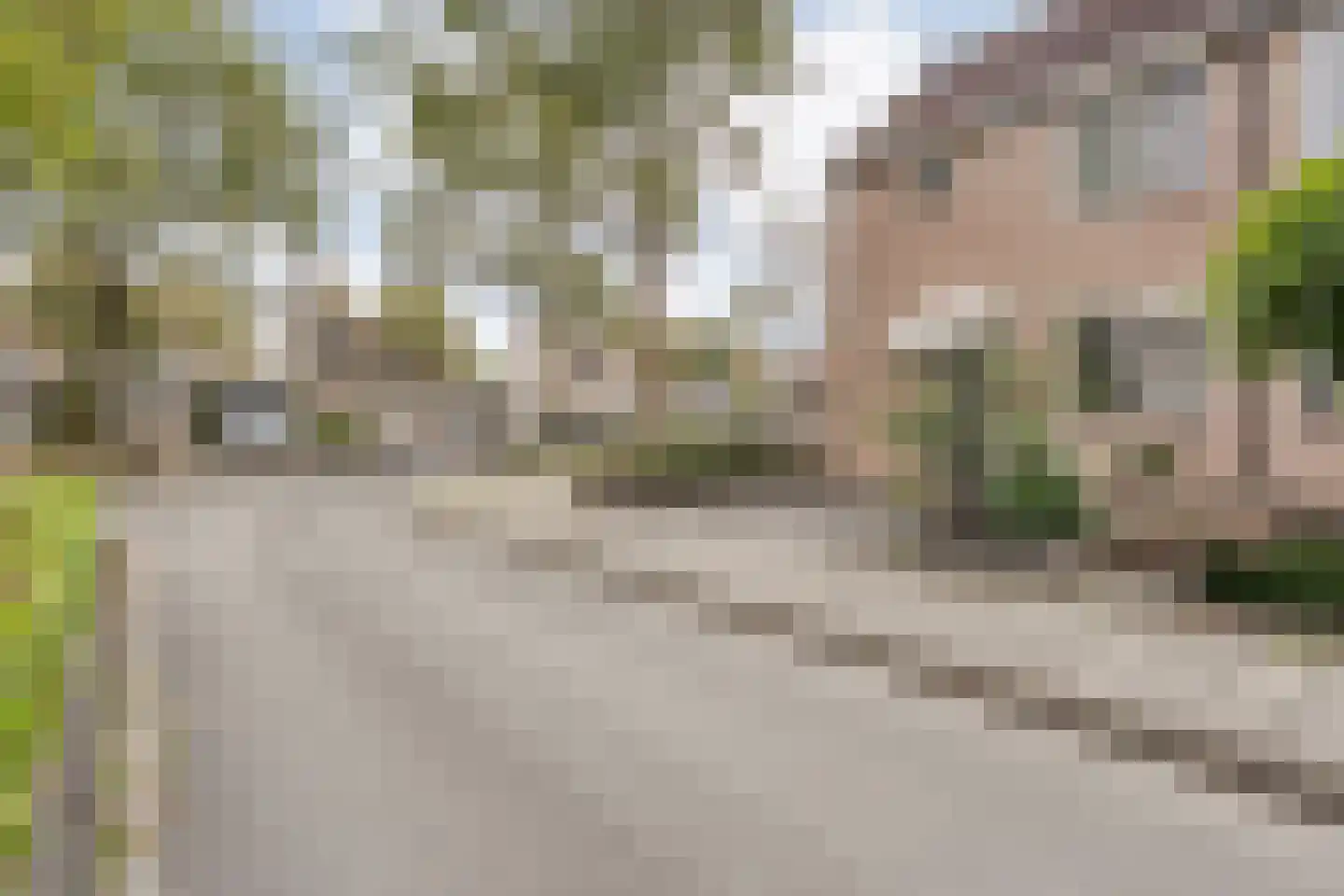 Joke Smitlanden 118 Enschede thumbnail 51