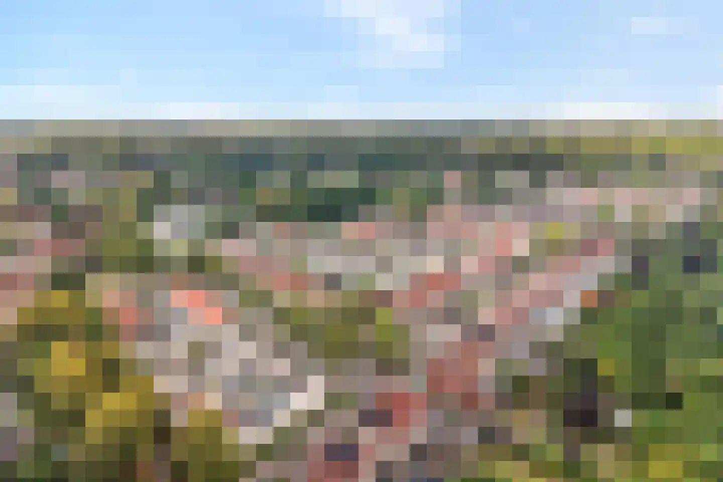 Joke Smitlanden 118 Enschede thumbnail 53