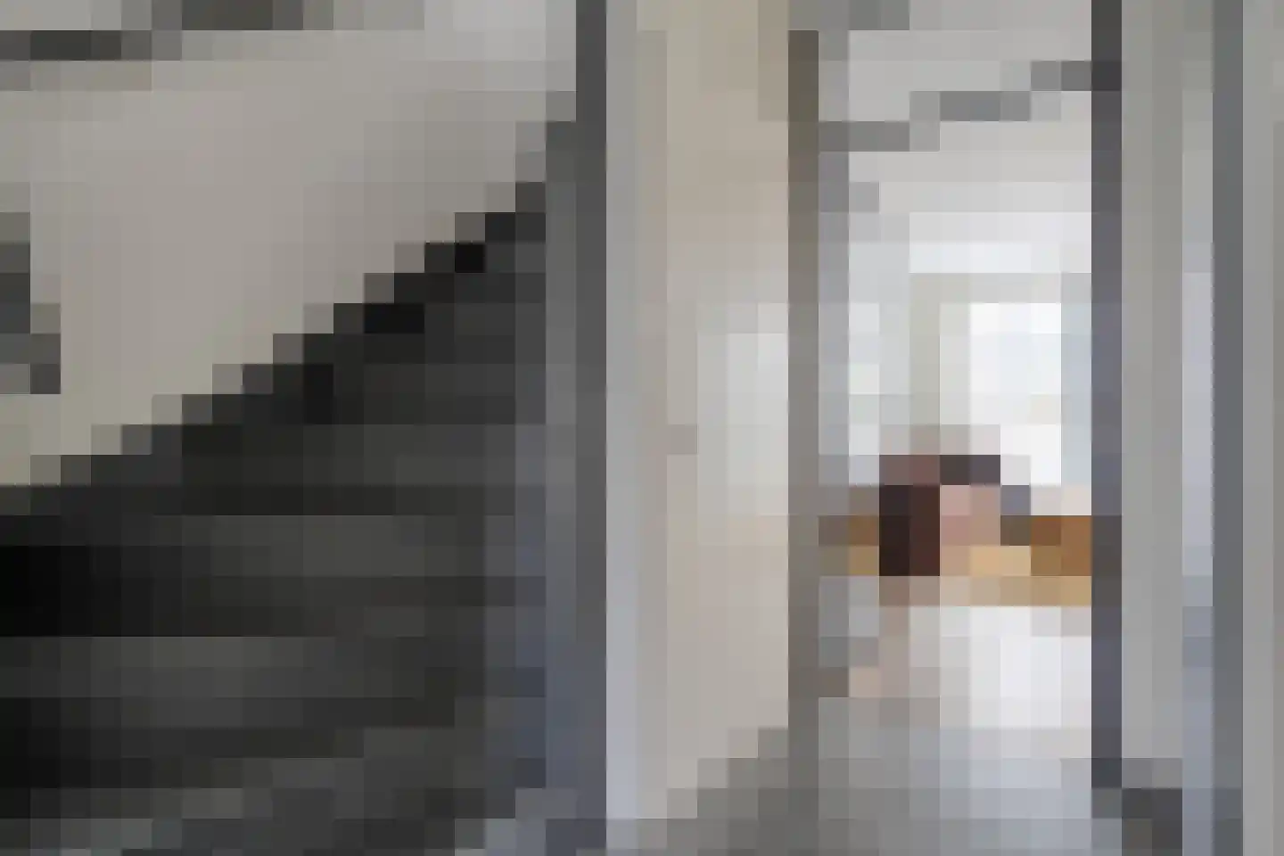 Joke Smitlanden 118 Enschede thumbnail 7