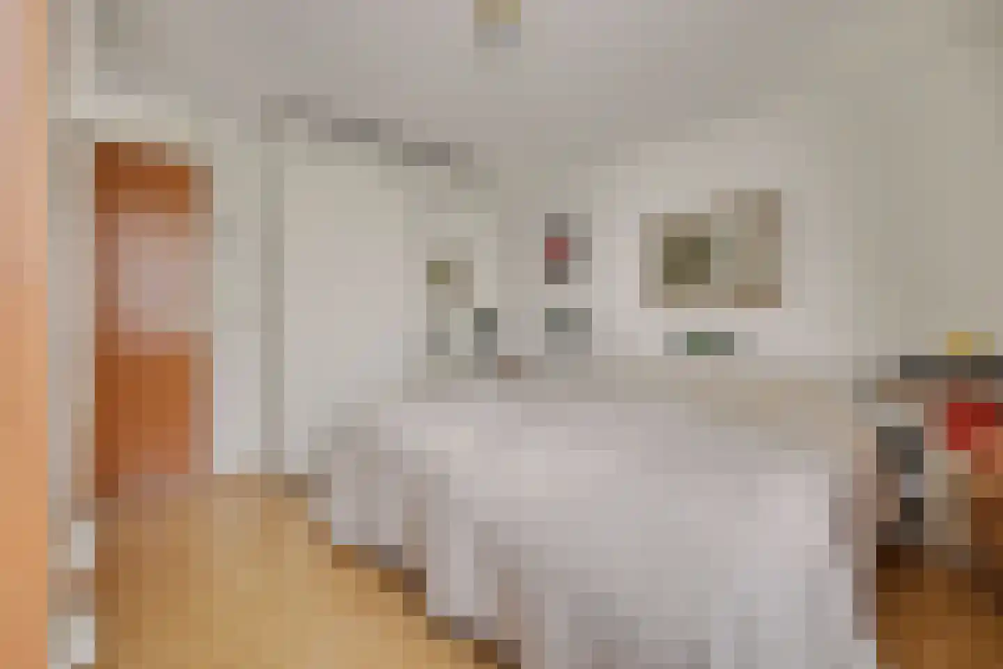 Joke Smitlanden 3 Enschede thumbnail 20