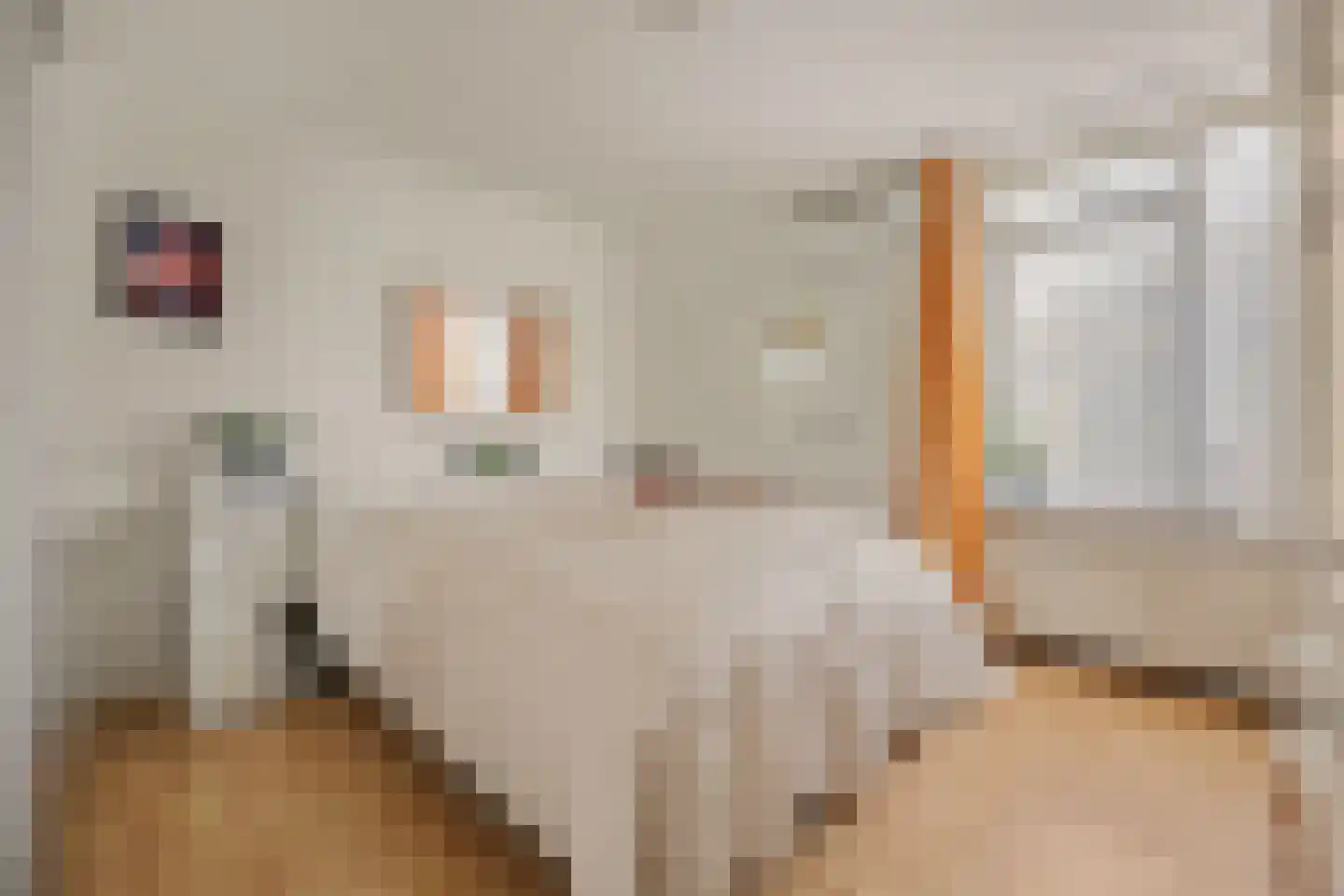 Joke Smitlanden 3 Enschede thumbnail 21