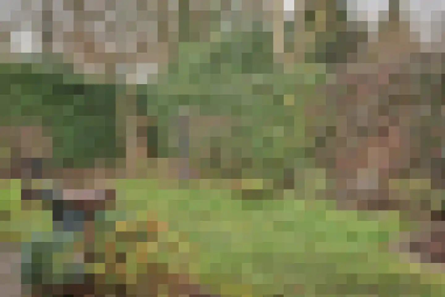 Joke Smitlanden 3 Enschede thumbnail 30