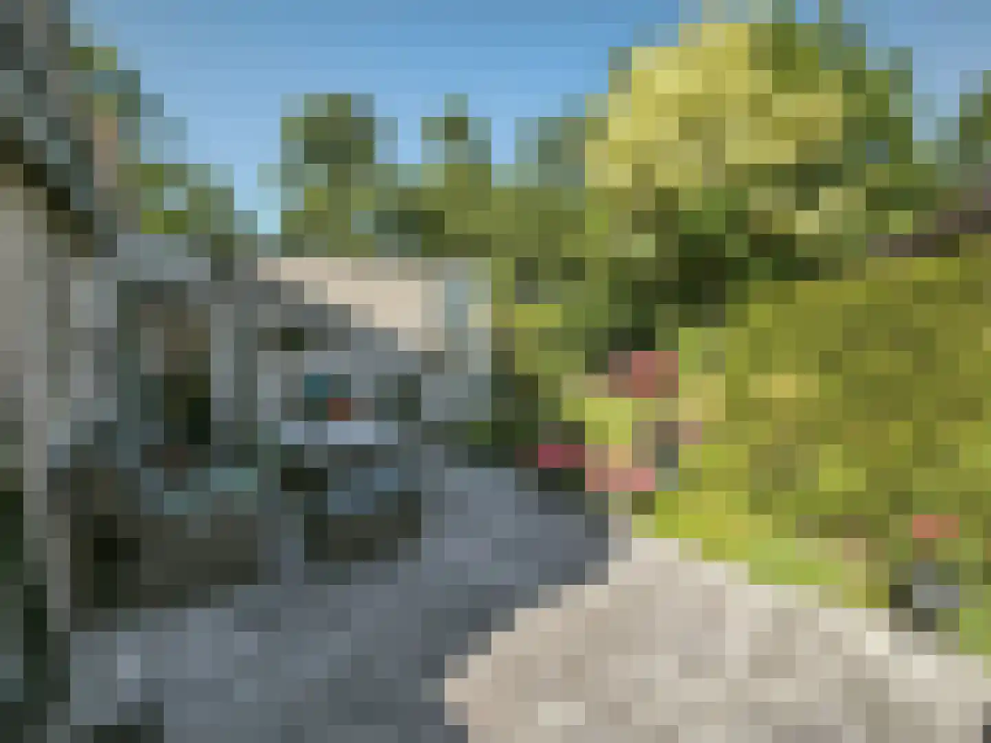 Joke Smitlanden 3 Enschede thumbnail 31