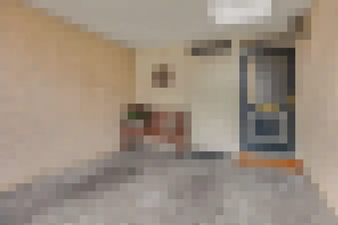 Joke Smitlanden 3 Enschede thumbnail 7