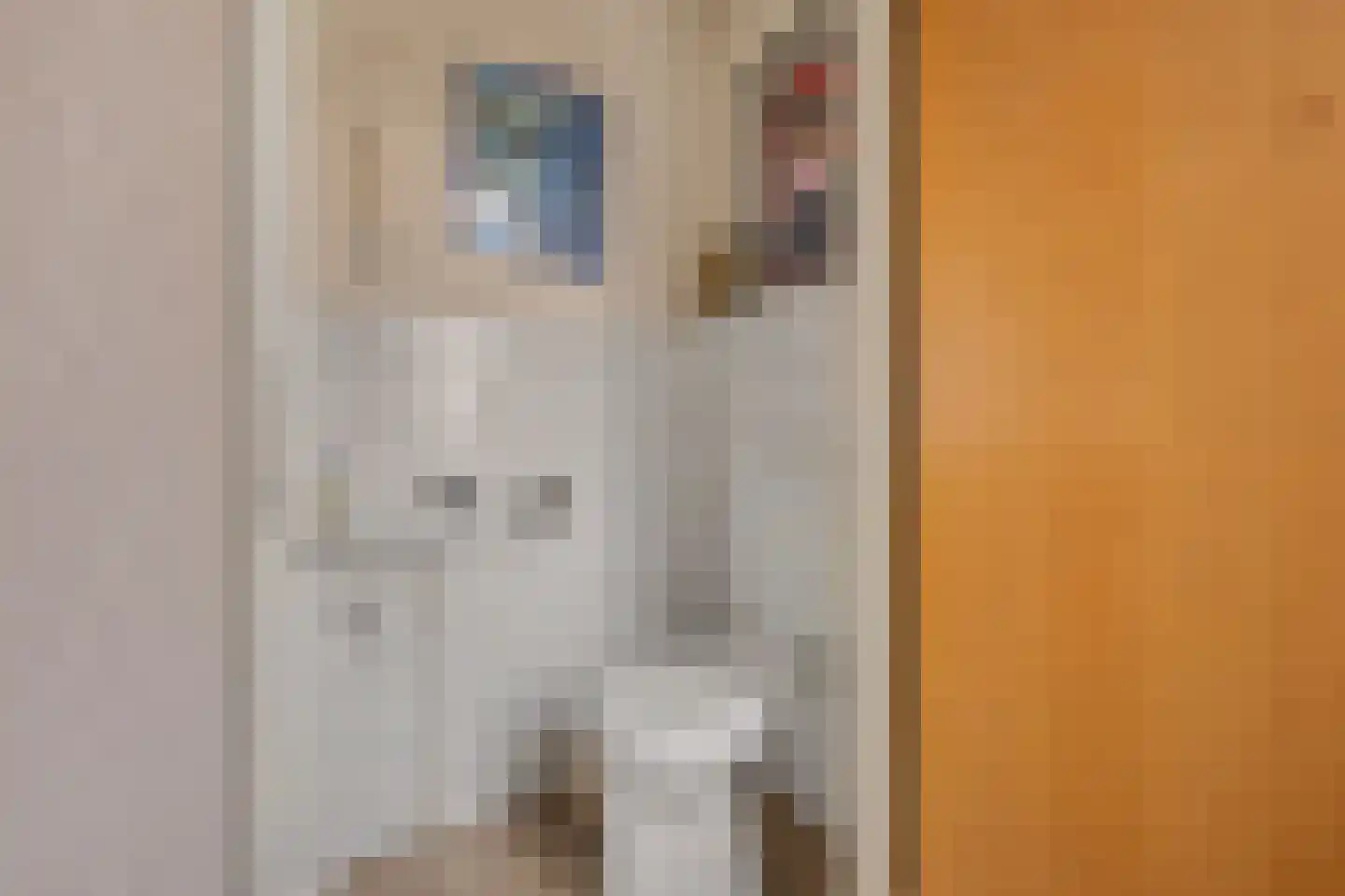 Joke Smitlanden 3 Enschede thumbnail 9